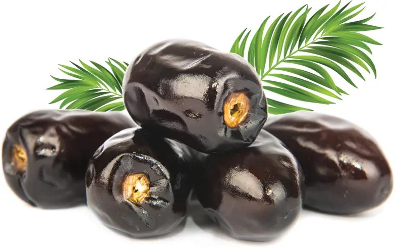 Mazafati Dateln 550 gramm